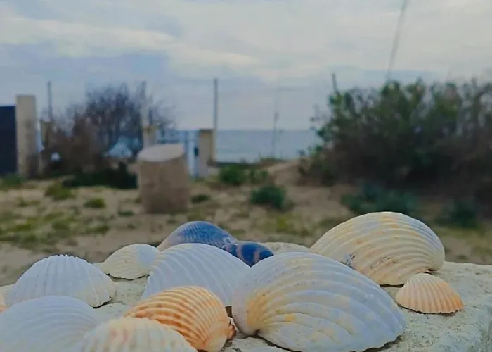 Appartement Les Pieds Dans L'eau *