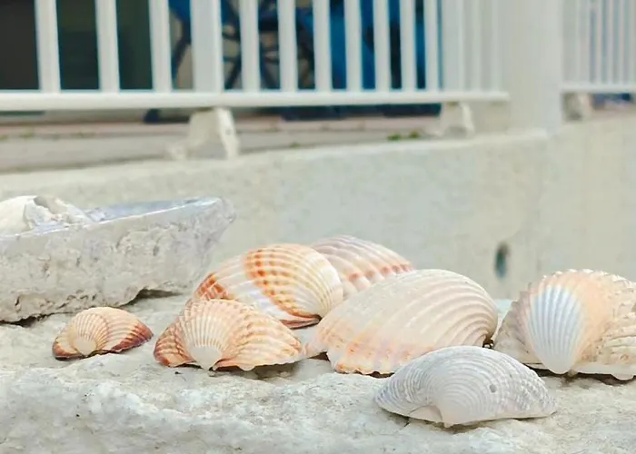 Les Pieds Dans L'eau * Agde