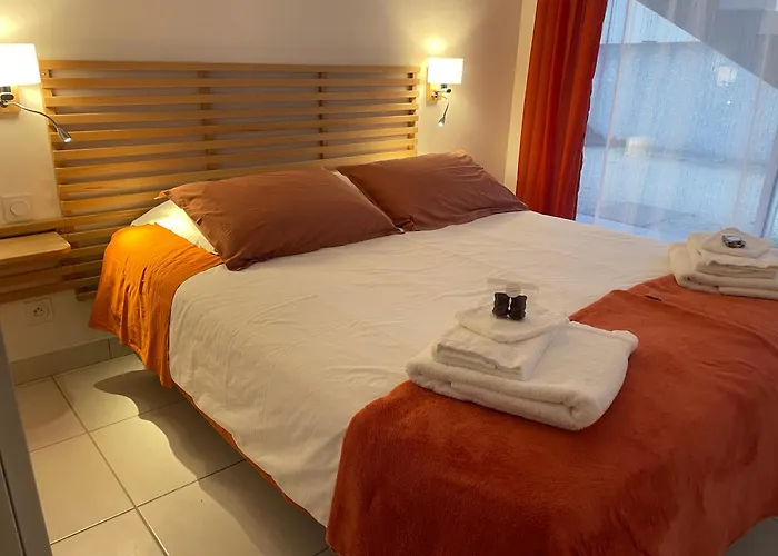 Les Pieds Dans L'eau Appartement Agde